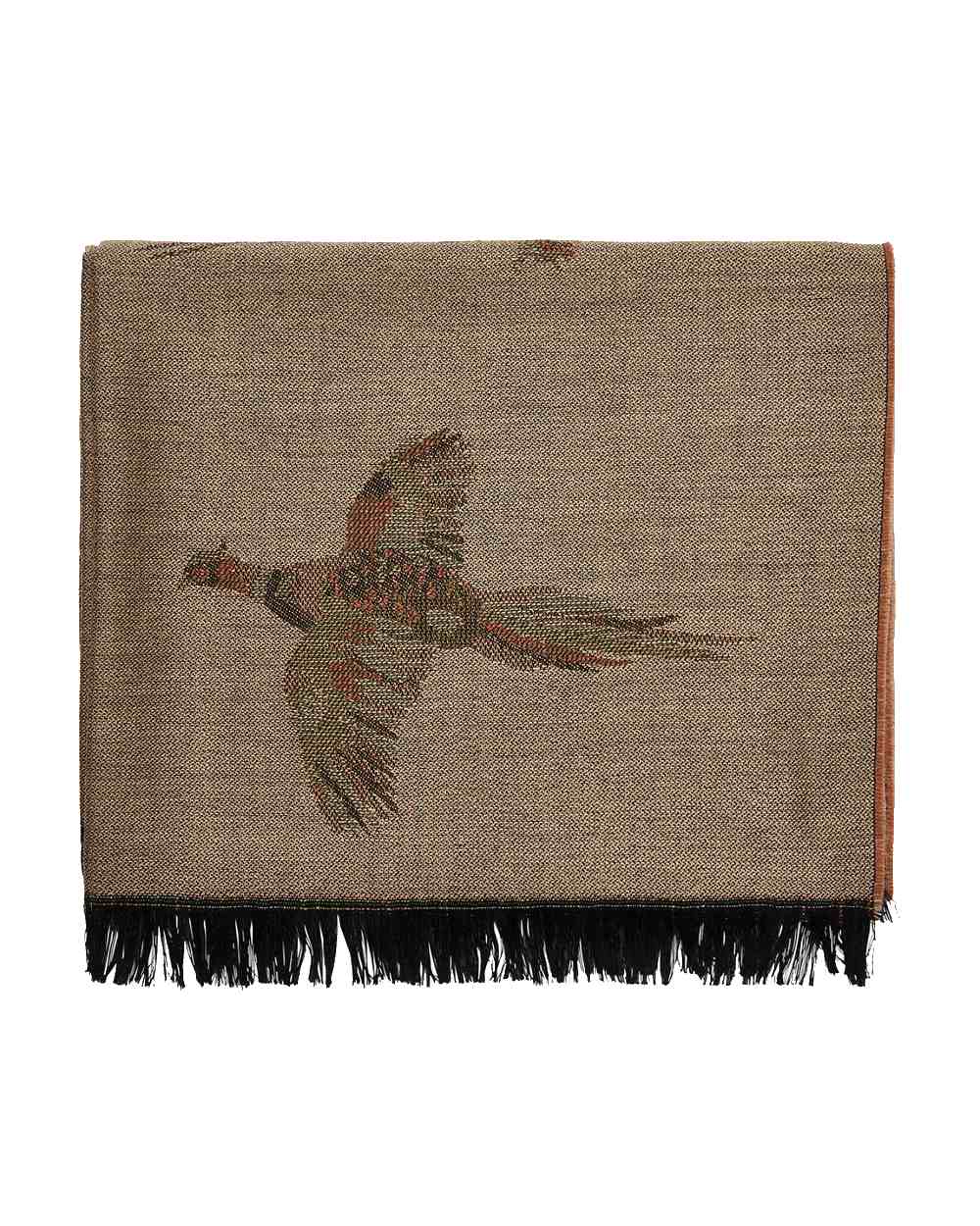 Taupe Coloured Dubarry Birchdale Wool Stole on white background