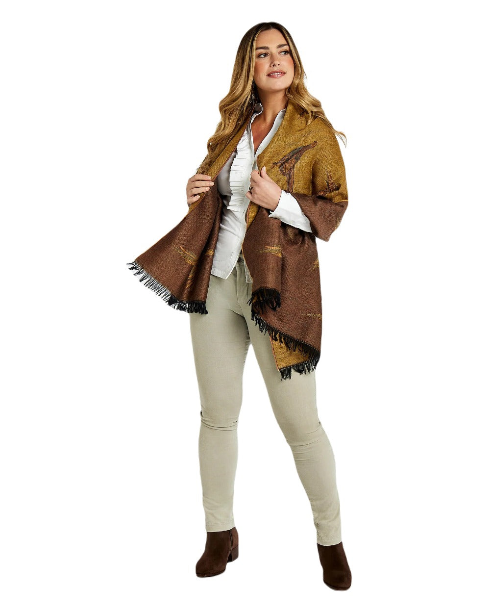 Cigar coloured Dubarry Bray Chelsea Boots on white background