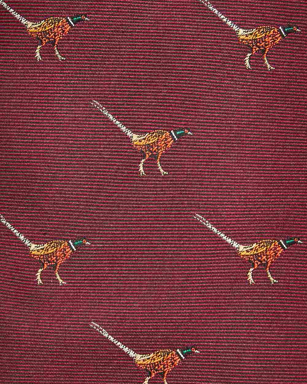 Merlot coloured Dubarry Madden Mens Silk Tie on white background