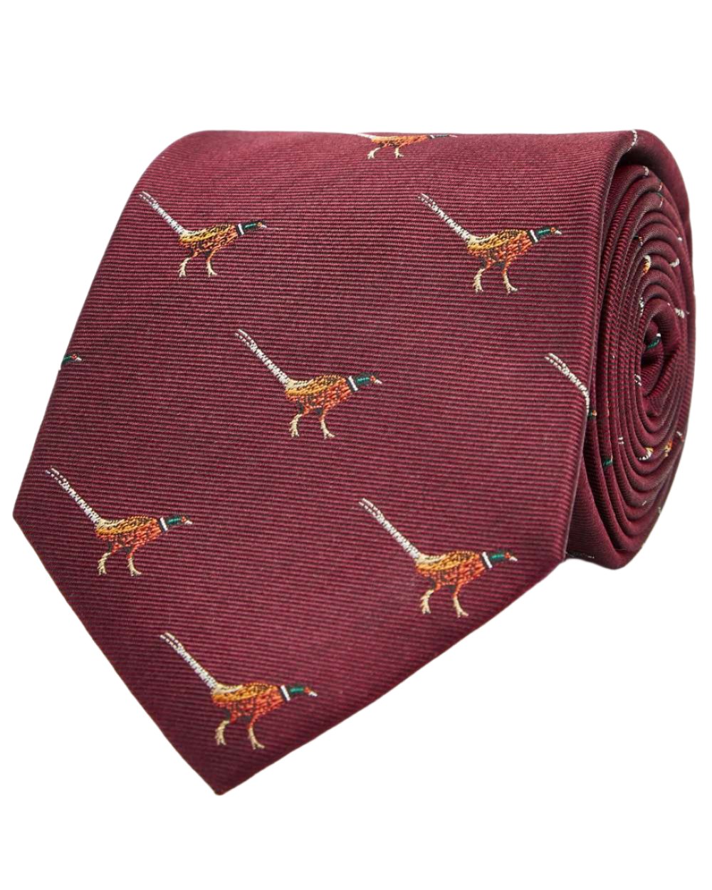 Merlot coloured Dubarry Madden Mens Silk Tie on white background