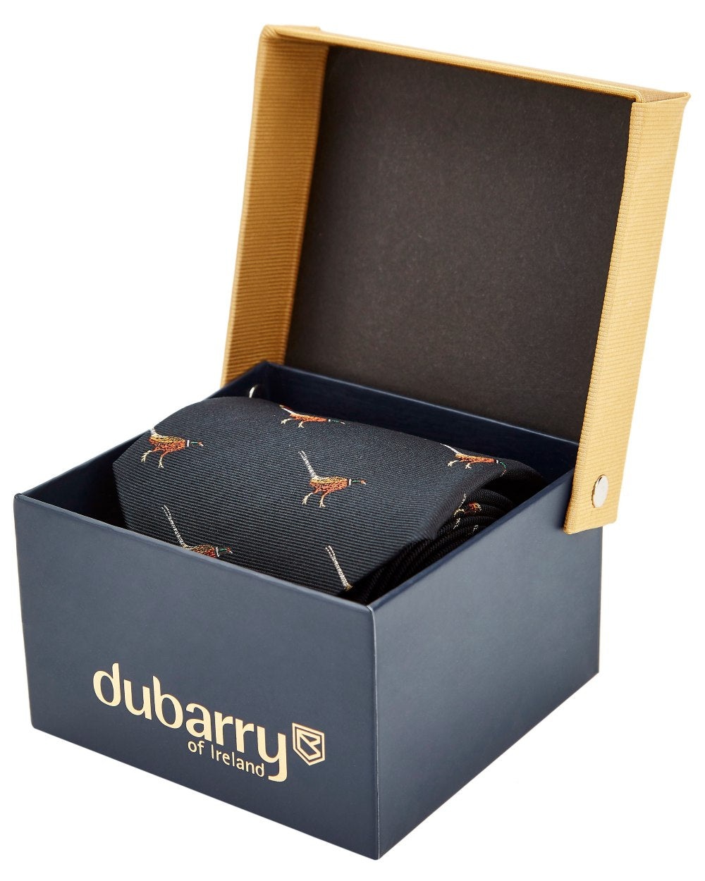 Navy coloured Dubarry Madden Mens Silk Tie on white background