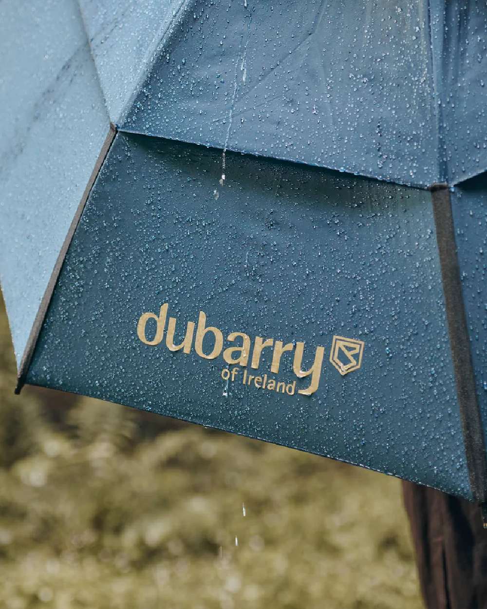 Navy coloured Dubarry Umbrella on blurry background