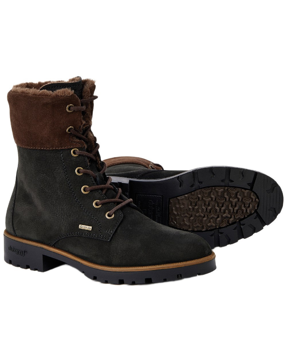Black Coloured Dubarry Womens Glengarriff Ankle Boots on white background