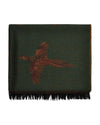 Dubarry Birchdale Wool Stole in Ivy #colour_ivy