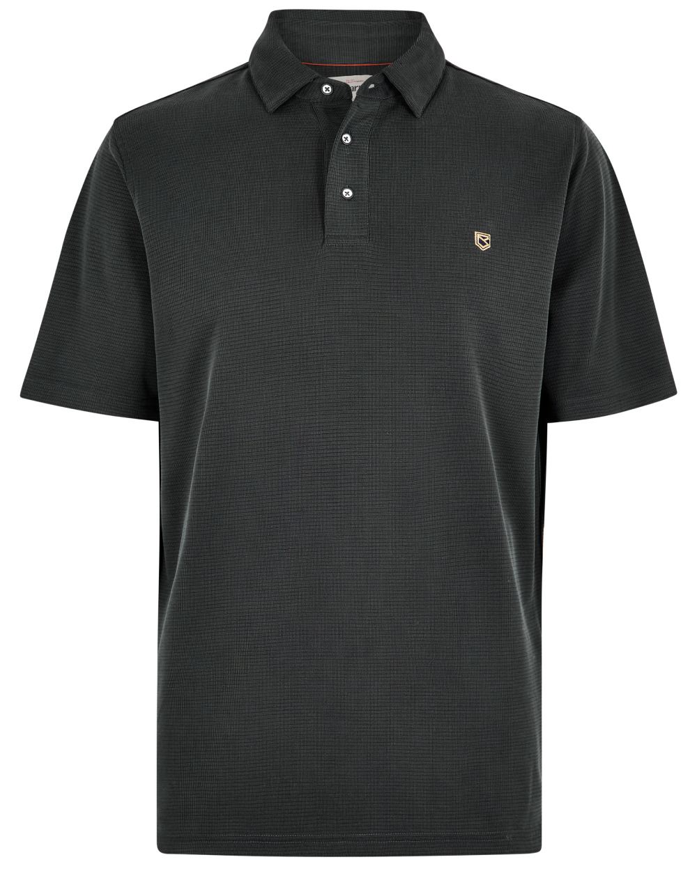 Black coloured Dubarry Mens Gilligan Tencel Modal Polo T-Shirt on white background