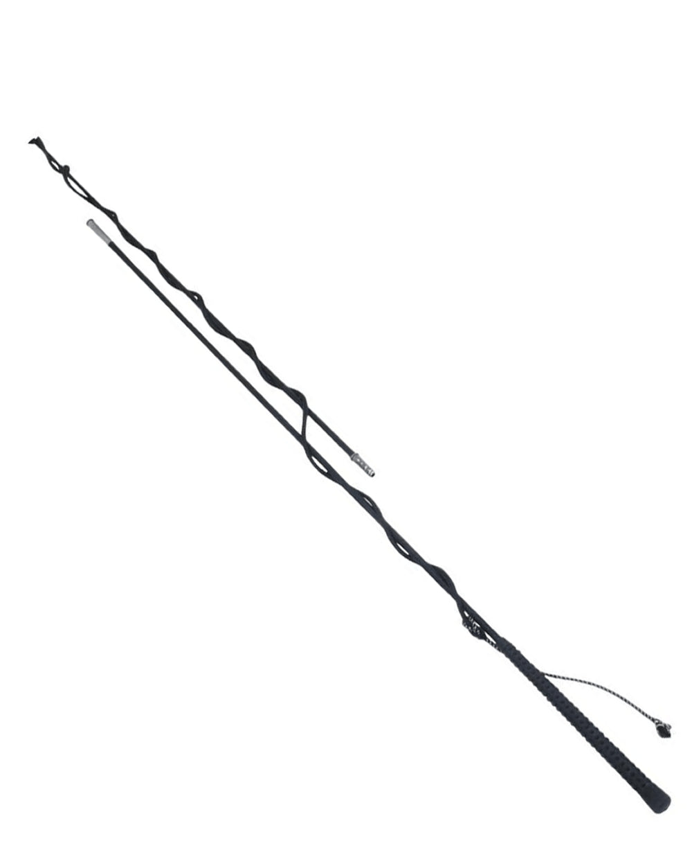 Black coloured Dublin 2 Piece Lunge Whip on white background