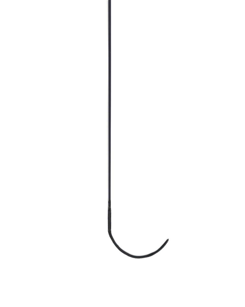 Black Coloured Dublin Carbon Dressage Whip on white background