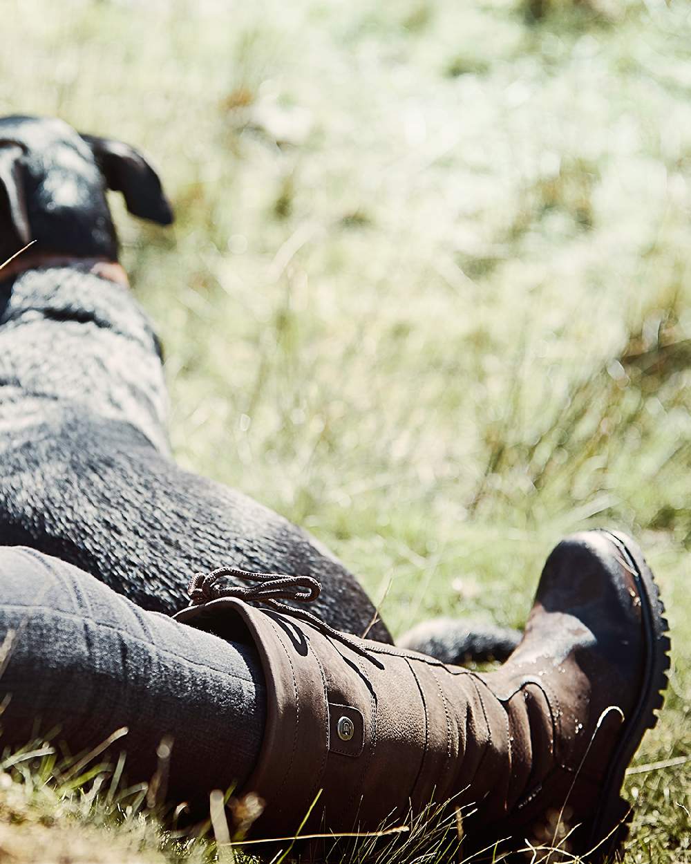 Chocolate coloured Dublin Kennet Boots on grass background