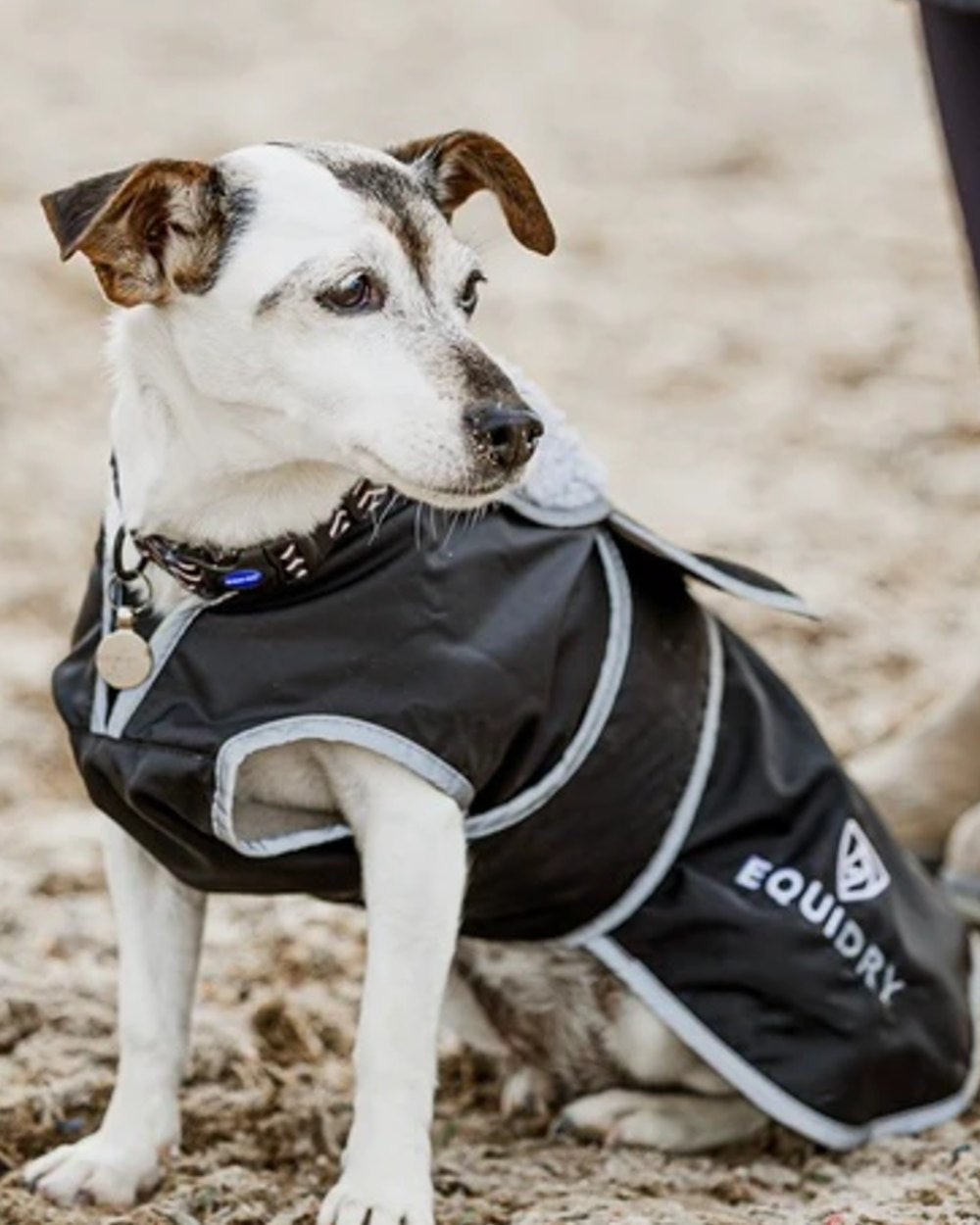 Black Grey coloured Equidry Microfibre Fleece Waterproof Dog Coat on outdoor background