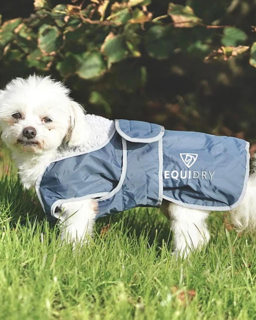 Steel Blue Grey coloured Equidry Microfibre Fleece Waterproof Dog Coat on outdoor background