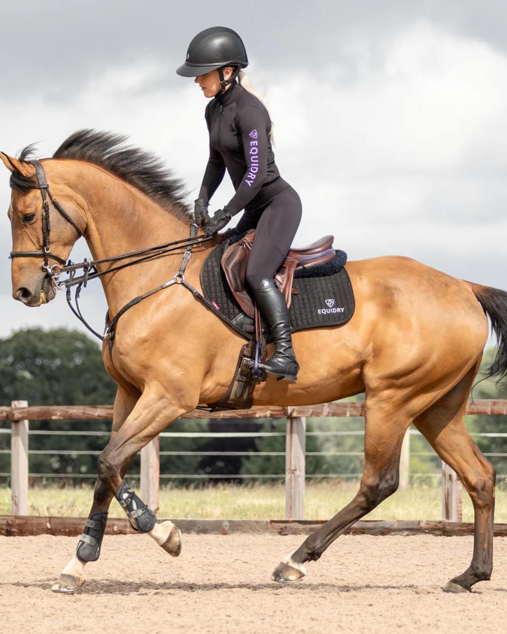 Black Lilac coloured Equidry Womens Water Repellent Leggings on outdoor background