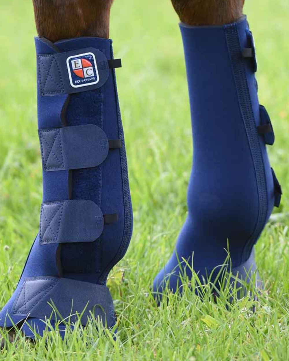 Blue coloured Equilibrium Equi-Chaps Hardy Chaps on grass background