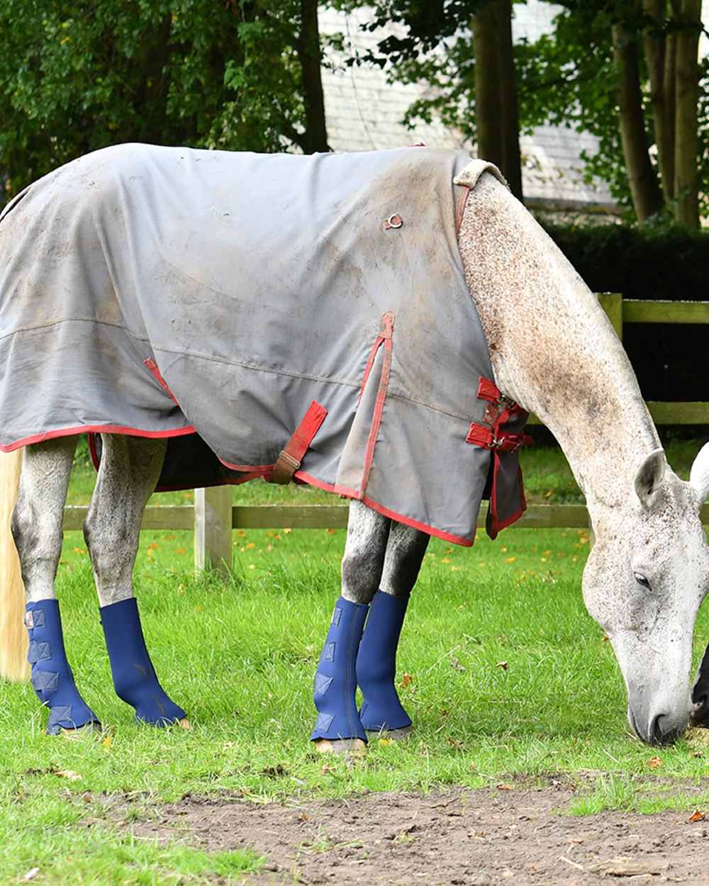 Blue coloured Equilibrium Equi-Chaps Hardy Chaps on grass background