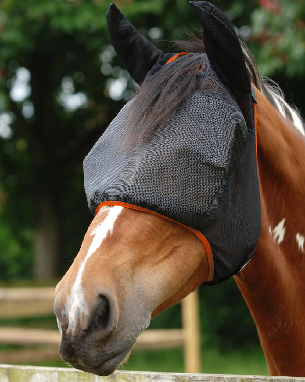 Black Orange coloured Equilibrium Field Relief Midi Fly Mask & Ears on blurry background