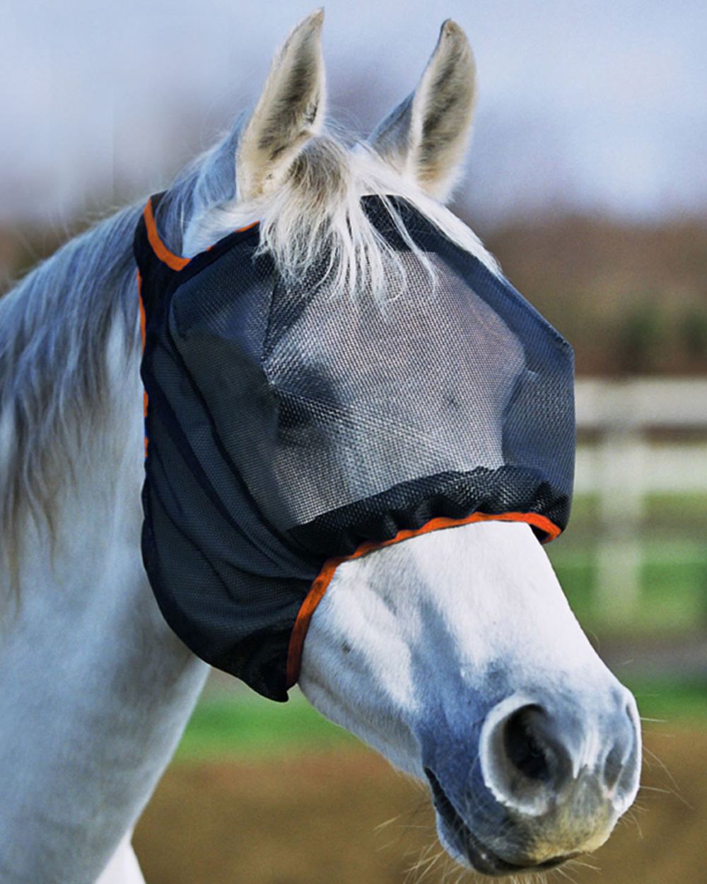 Black Orange coloured Equilibrium Field Relief Midi Fly Mask No Ears on blurry background