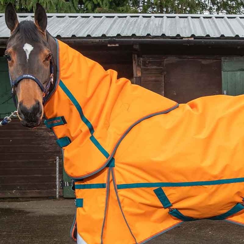 Horse Exercise Sheets. Brown horse in bright orange full covering sheet.