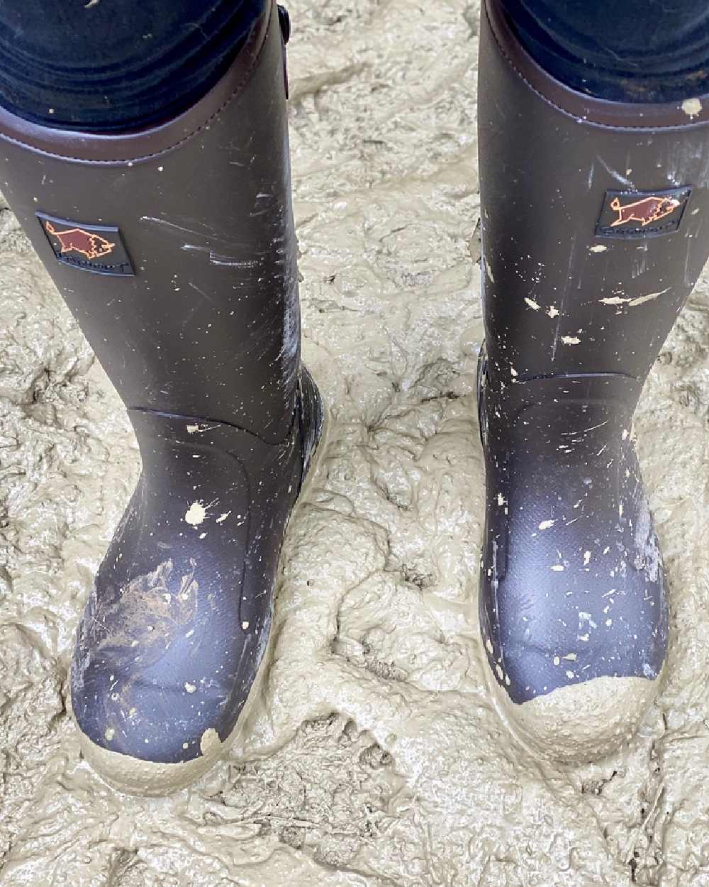 Dark Brown Coloured Gateway1 Pheasant Game Lady 17" 5mm Wellingtons on outdoor background