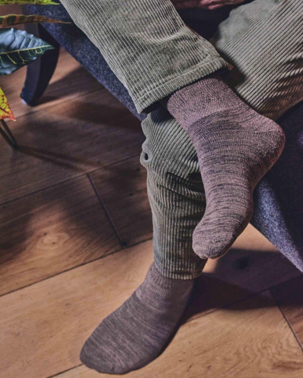 Olive Brown coloured HJ Hall Diabetic Lightweight Cotton Socks on outdoor background