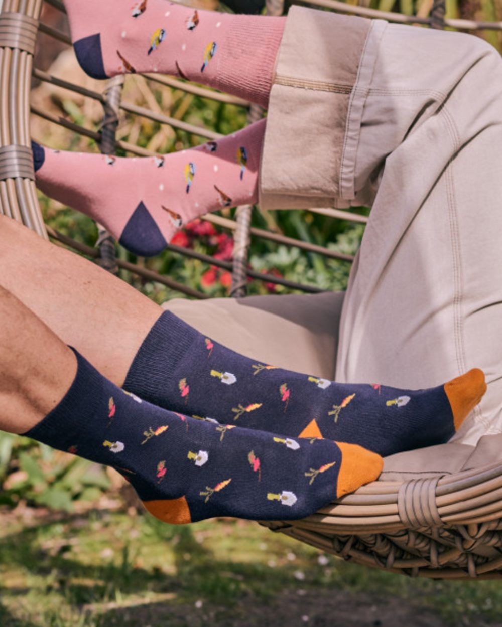 Navy Mix coloured HJ Hall Mens Garden Vegetables Motif Cotton Rich Socks 3 Pair Pack on garden background