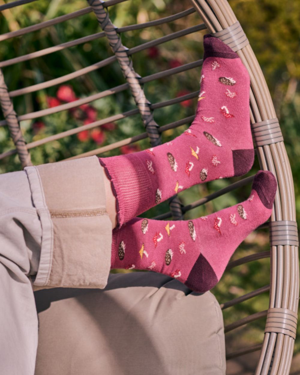 Rose coloured HJ Hall Womens Cotton Comfort Top Socks on garden background
