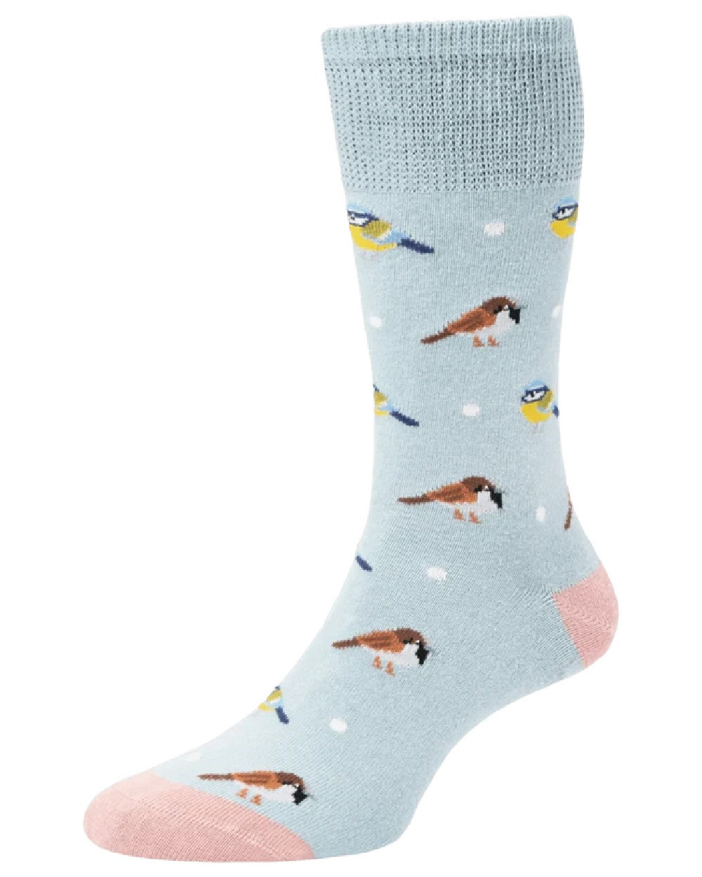 Duck Egg coloured HJ Hall Womens Garden Birds Motif Cotton Socks on white background