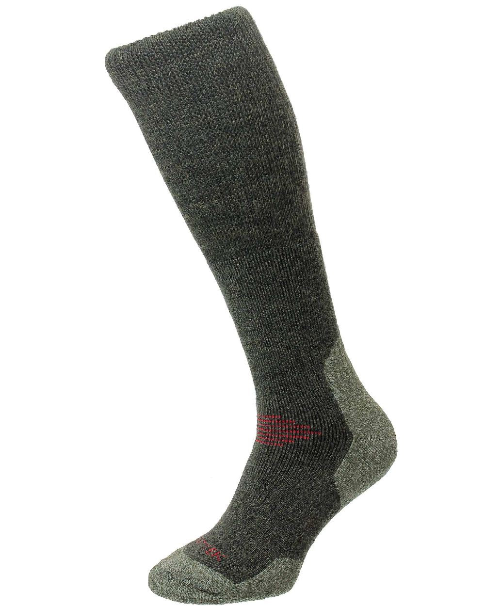 HJ Hall ProTrek Mountain Comfort Top Socks in Green Grass