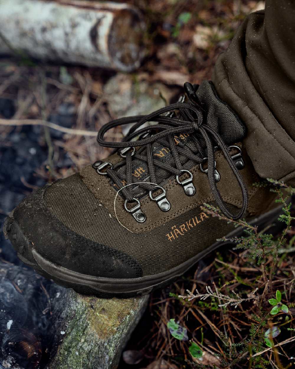 Willow Green Coloured Harkila Trail Lace GTX Shoes on forest background
