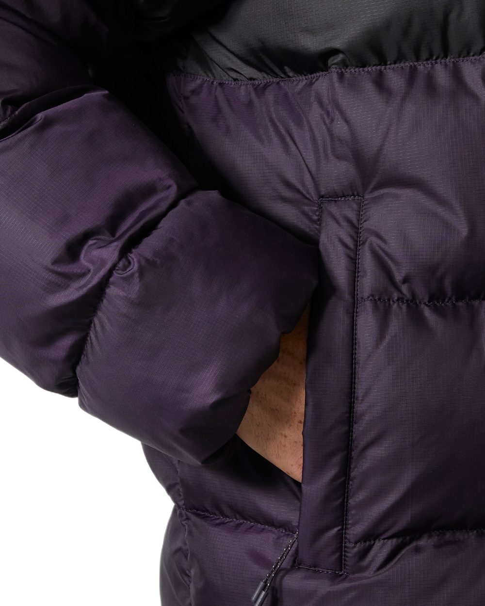 Black Grape Coloured Helly Hansen Mens Active Puffy Jacket on white background