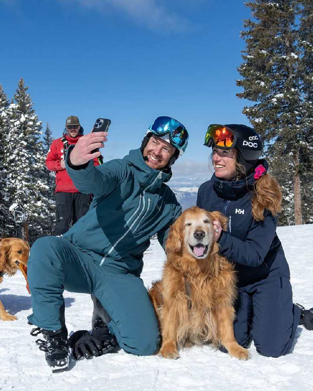 Dark Creek Spruce Coloured Helly Hansen Mens Alpha Lifaloft Insulated Ski Pants on snow background