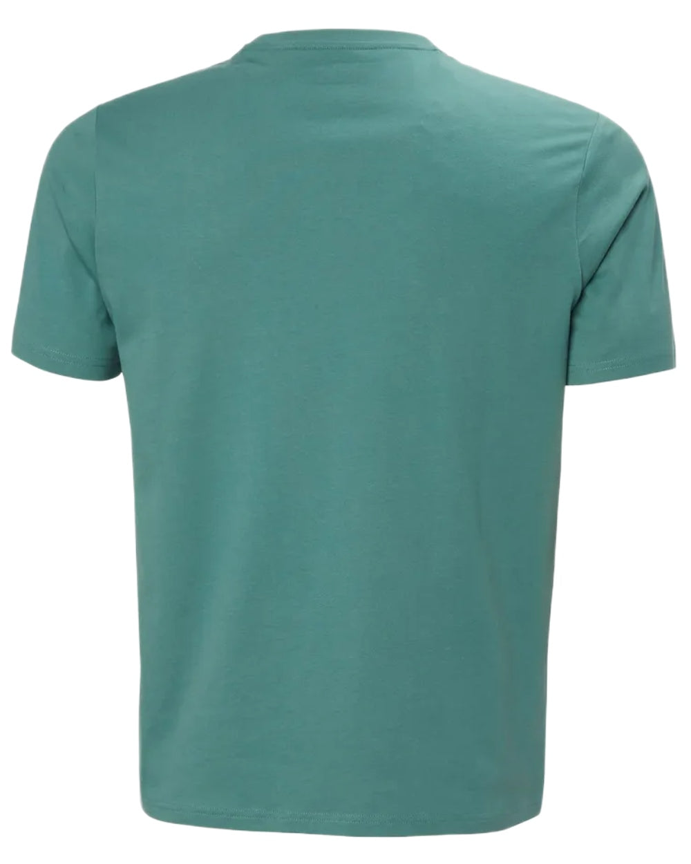 Opal Green coloured Helly Hansen Mens Core Graphic T-Shirt 2.0 on white background