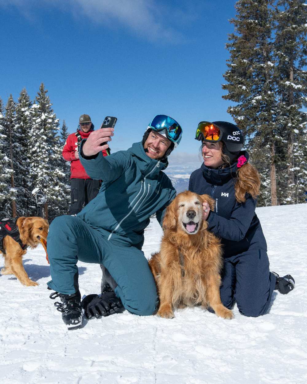 Navy Coloured Helly Hansen Womens Alphelia Lifaloft Ski Jacket on snow background