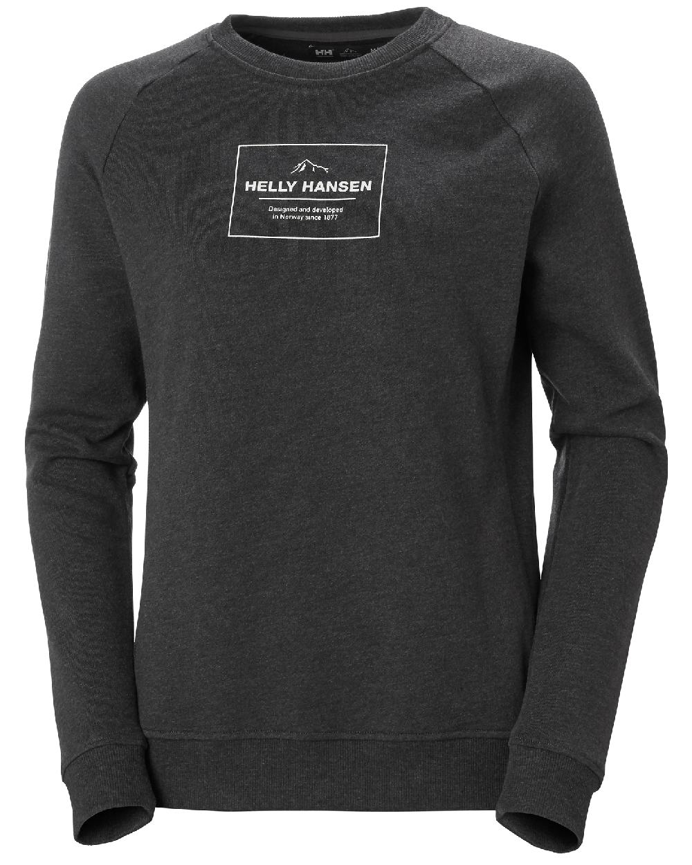 Ebony Melange coloured Helly Hansen Womens F2F Organic Cotton Sweater on white background