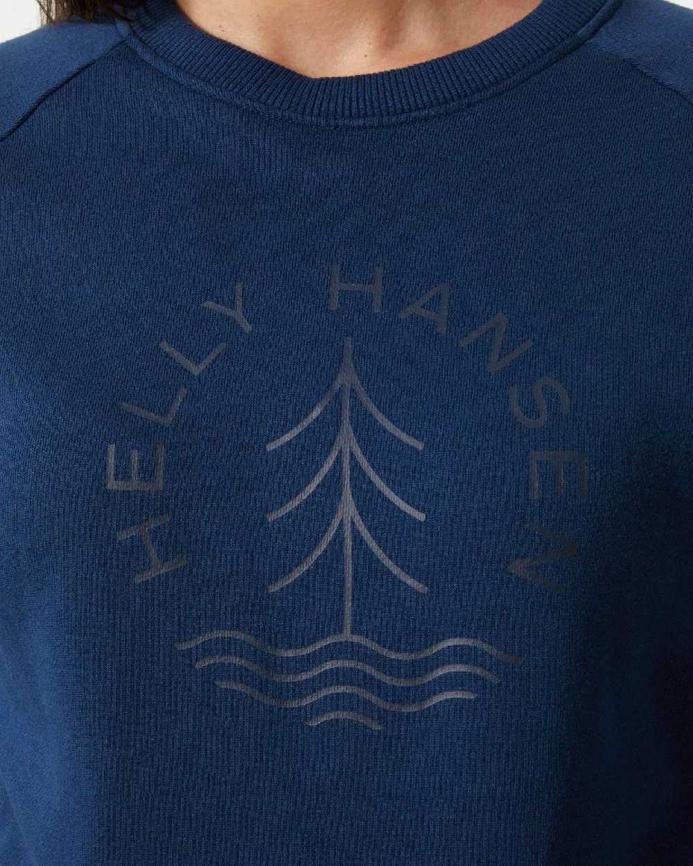 Ocean coloured Helly Hansen Womens F2F Organic Cotton Sweater on white background