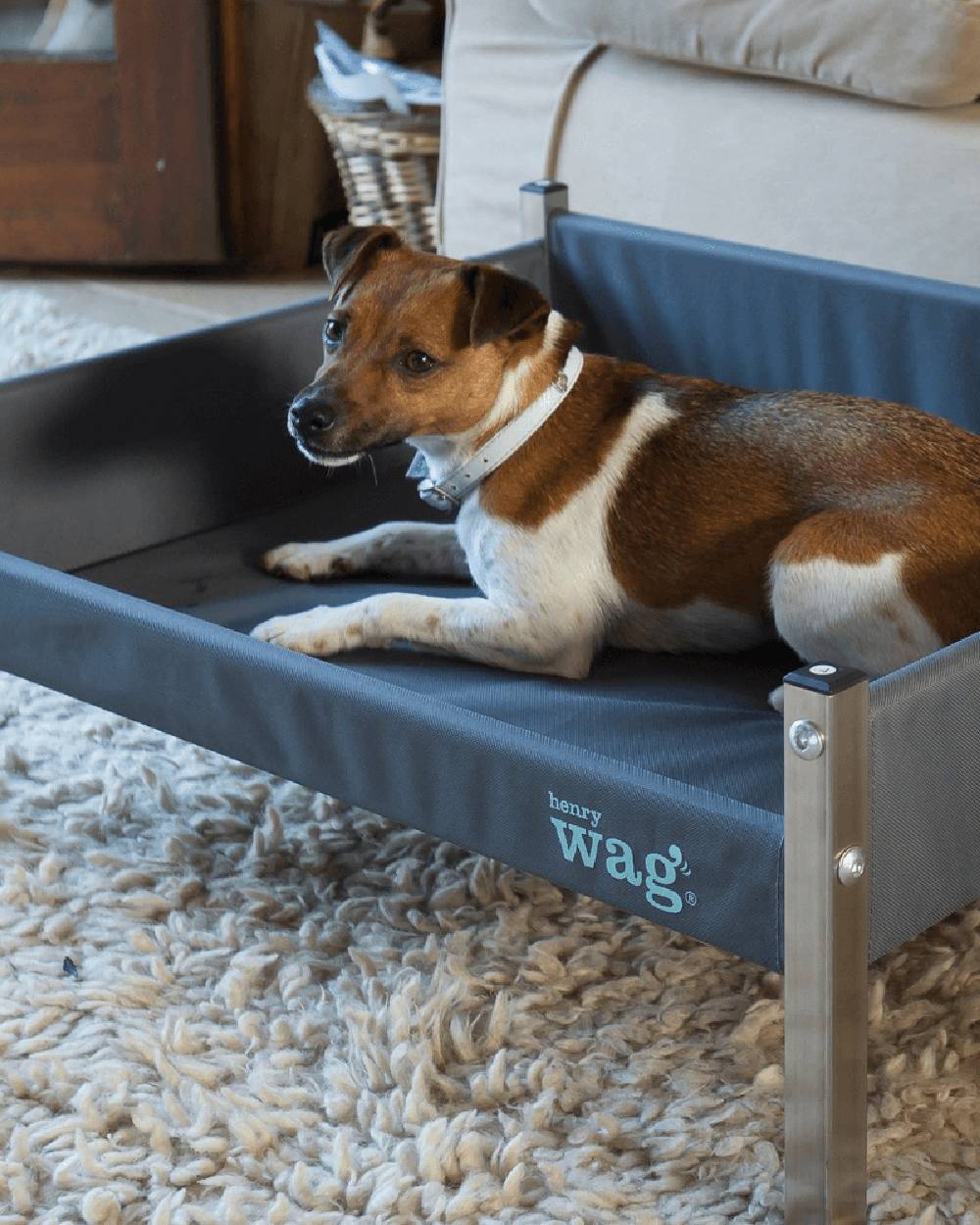 Grey Black coloured Henry Wag Elevated Dog Bed on house background
