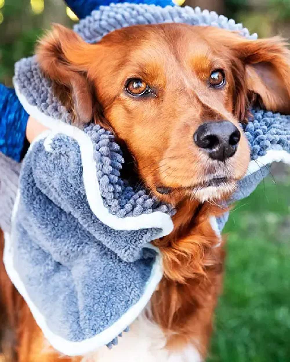 Blue Grey coloured Henry Wag Microfibre Glove Towel on garden background
