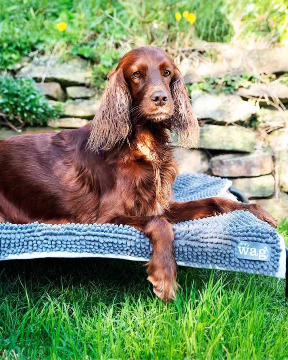 Grey Blue coloured Henry Wag Microfibre Noodle Pet Mat on garden background