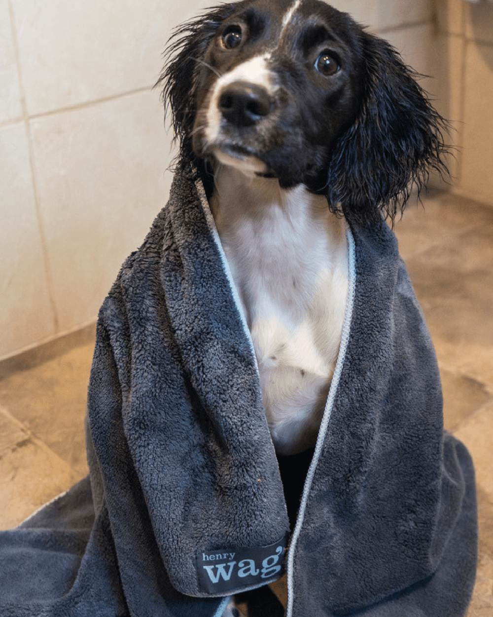 Grey Black coloured Henry Wag Microfibre Towel on house background