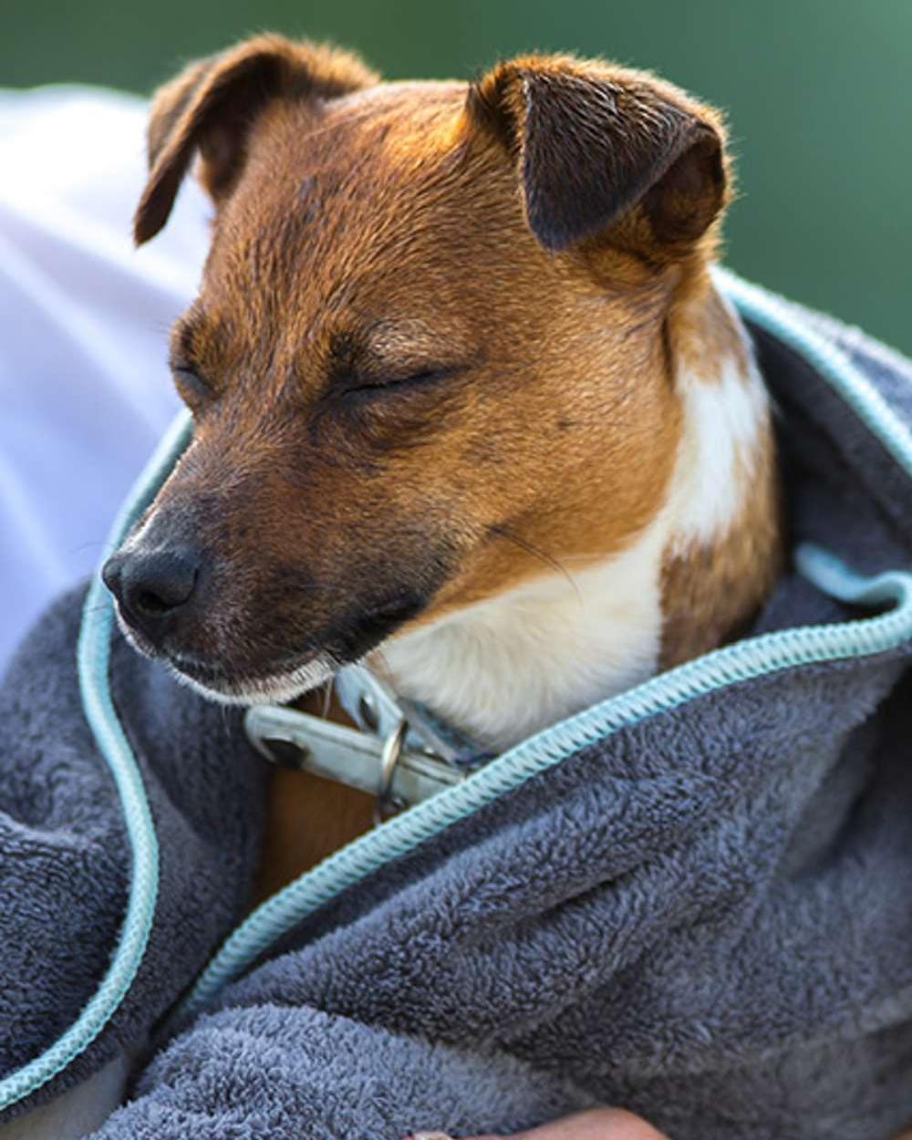Grey Black coloured Henry Wag Microfibre Towel on blurry background