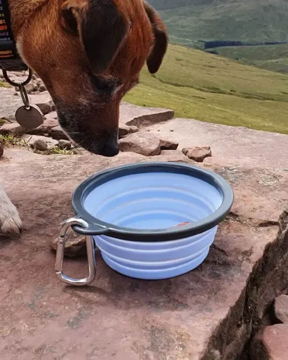 Blue coloured Henry Wag Pet Travel Bowl on mountain background