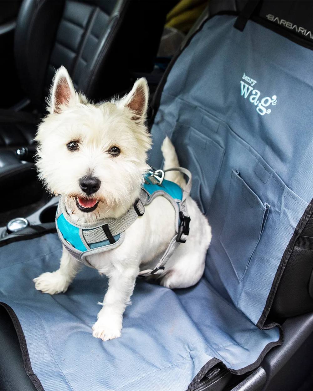 Grey Black coloured Henry Wag Single Car Seat Cover on car background