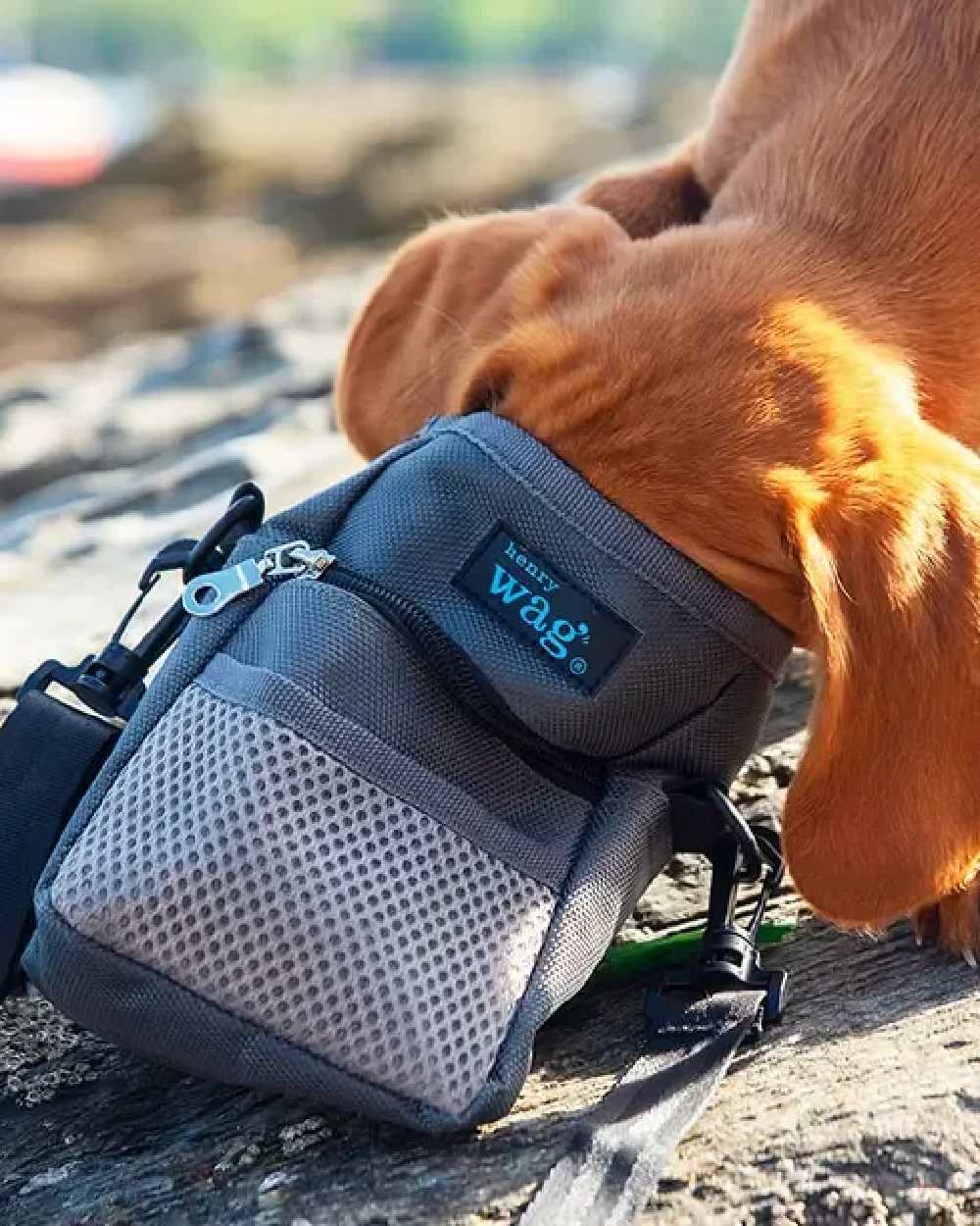 Grey coloured Henry Wag Treat Travel Bag on blurry background