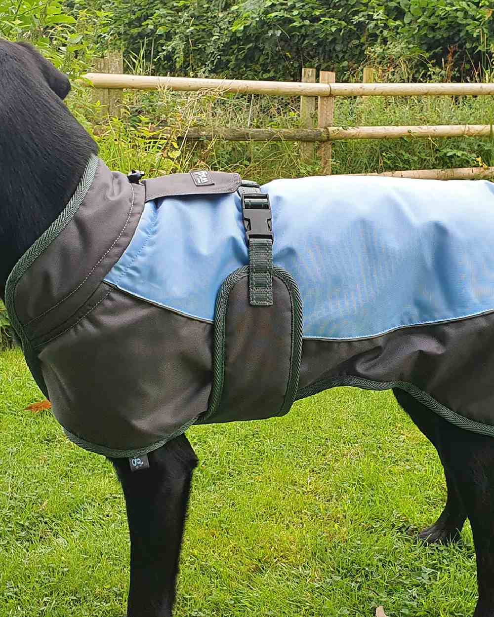 Blue Grey Henry Wag Waterproof Dog Coat on grass background