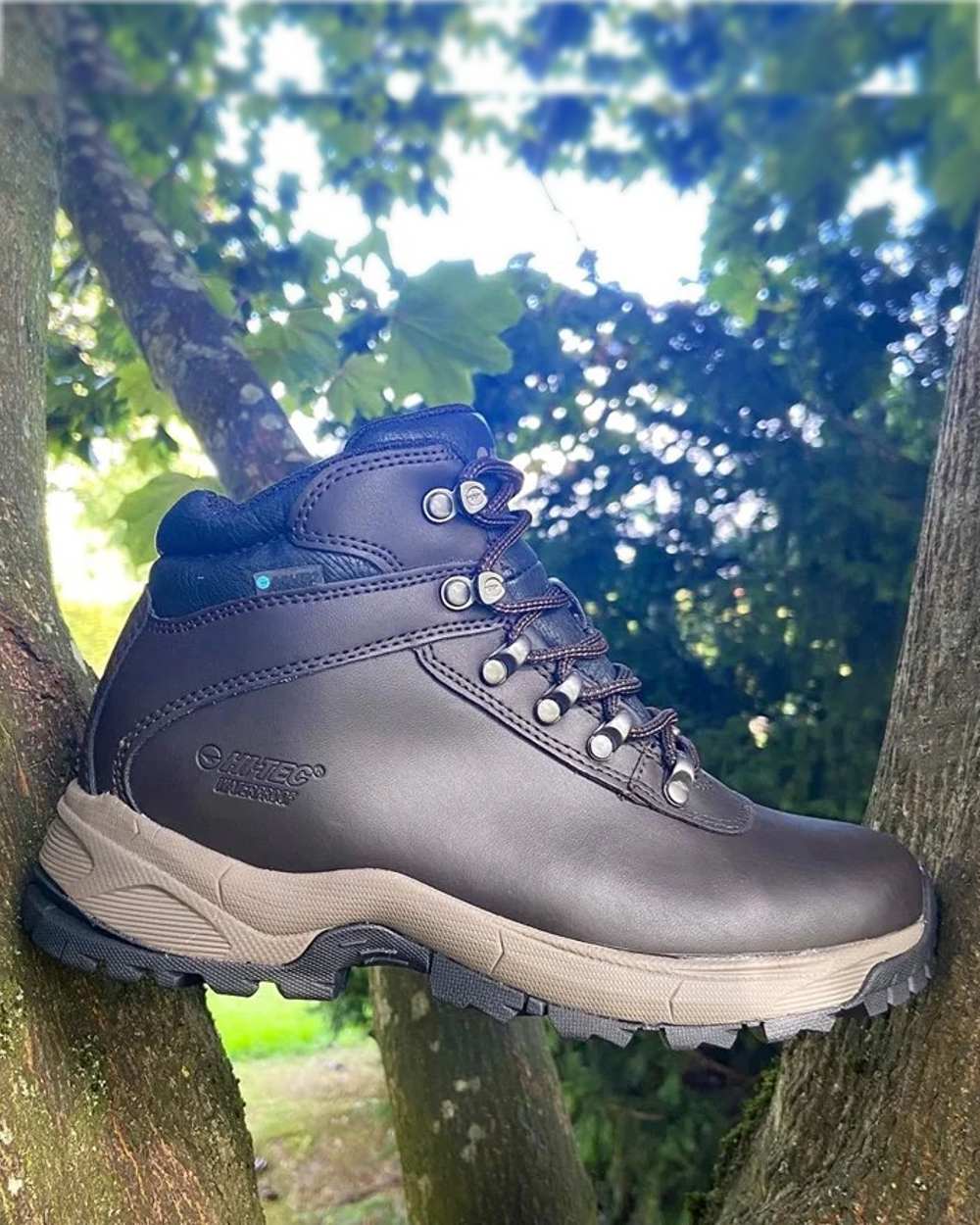 Dark Chocolate Hi-Tec Ladies Eurotrek Lite Waterproof Boots on forest background