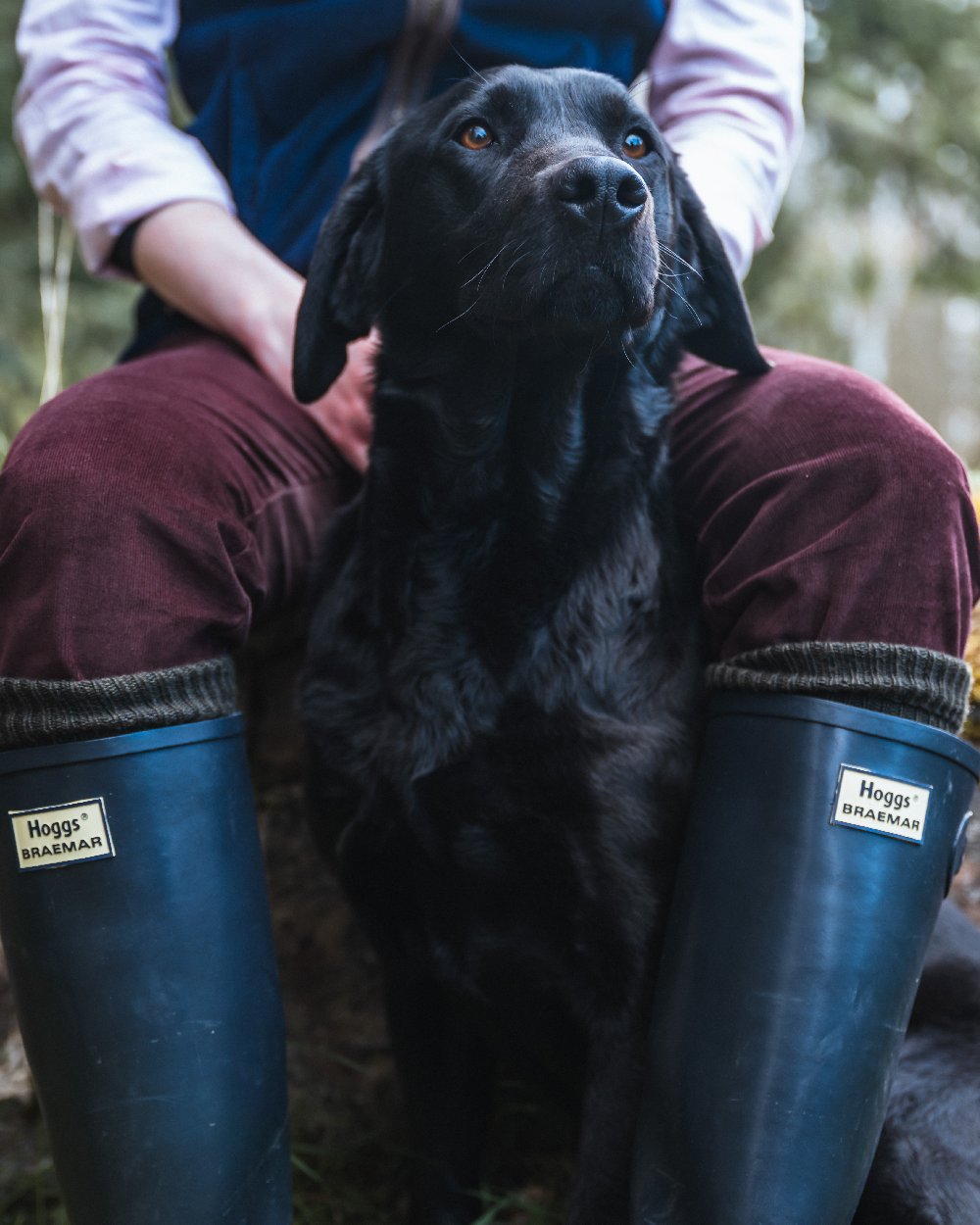 Navy Coloured Hoggs of Fife Braemar Wellingtons on blurry background