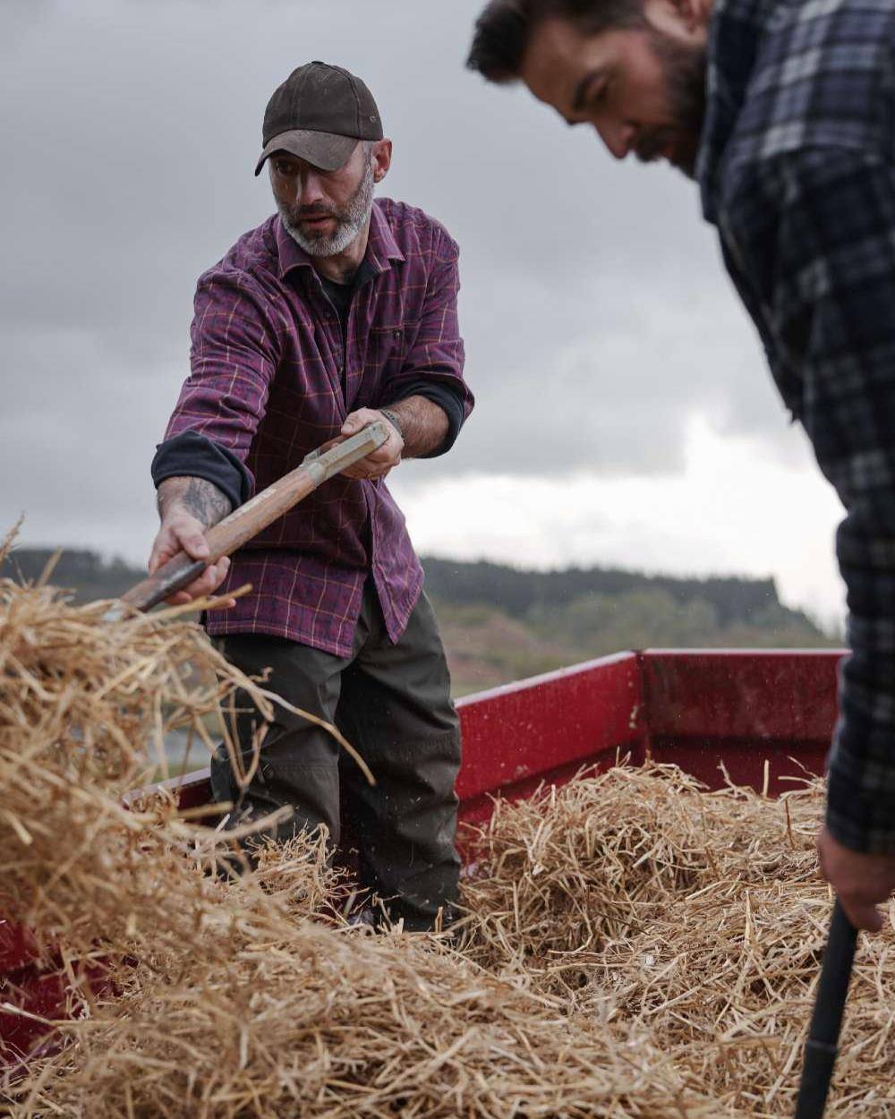Bramble Wine Check Coloured Hoggs of Fife Micro Fleece Lined Shirt on farm background