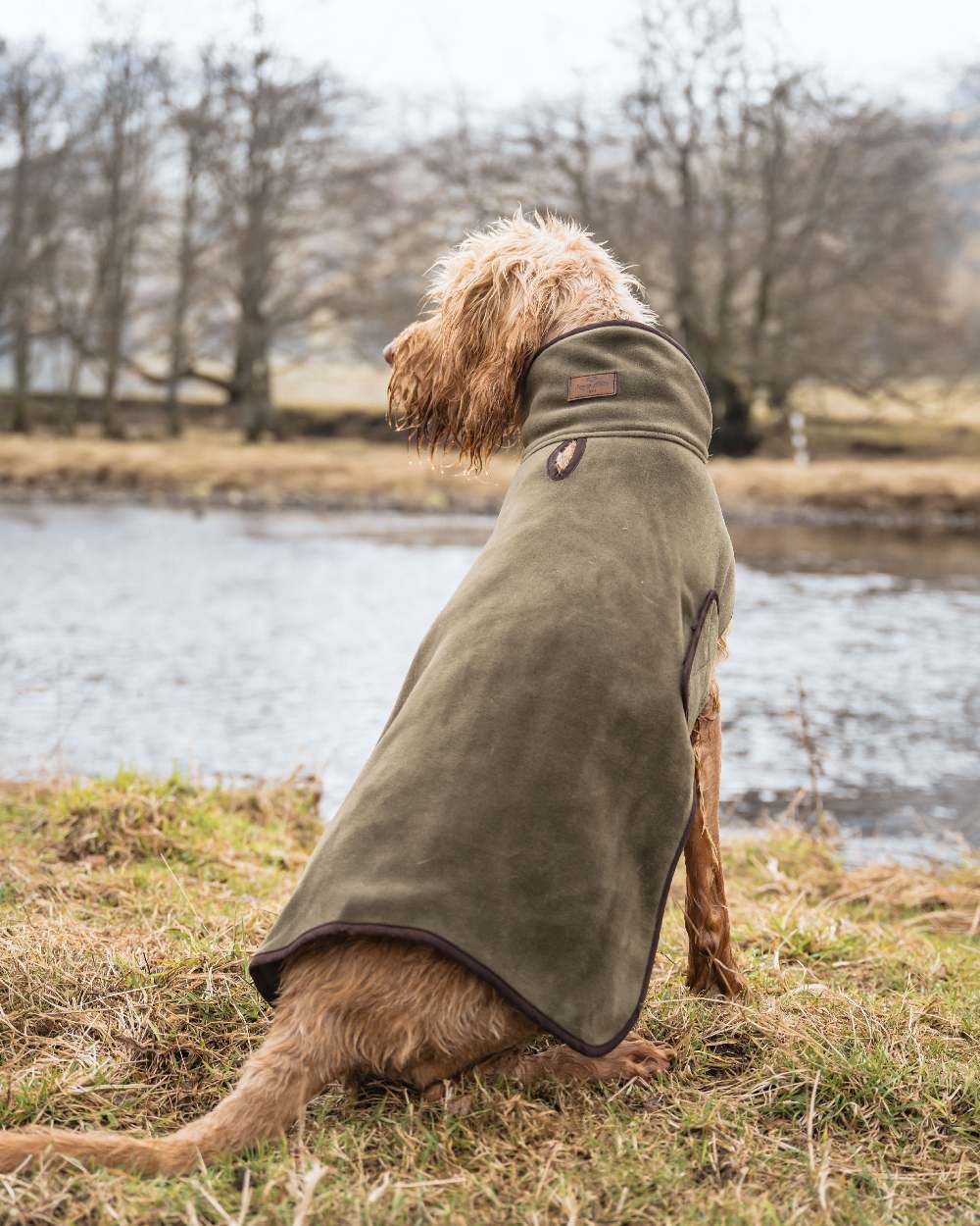 Lovat Coloured Hoggs of Fife Stenton Fleece Dog Coat on countryside background