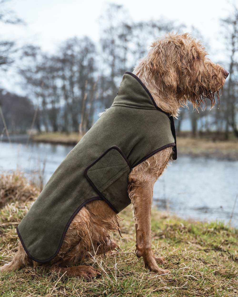 Lovat Coloured Hoggs of Fife Stenton Fleece Dog Coat on countryside background