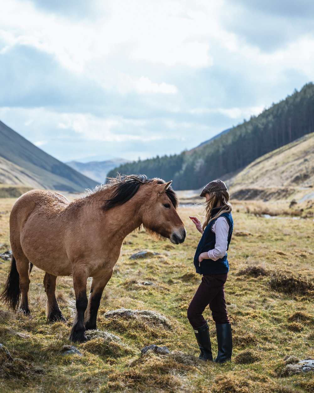 Midnight Navy Coloured Hoggs of Fife Stenton Ladies Fleece Gilet on mountain background