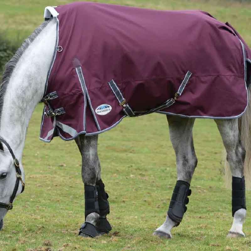 Horse Turnout Rugs. White horse in burgundy rug grazes in a field of grass.