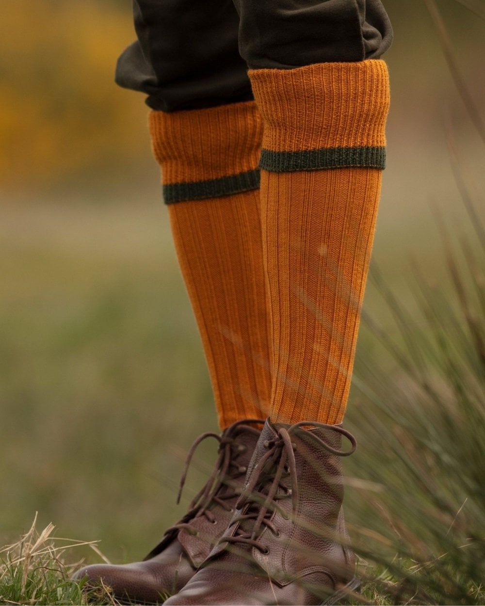 Ochre Spruce coloured House of Cheviot Estate Field Socks on blurry background